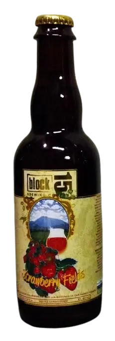 Block 15 Brewing Company Strawberry Fields