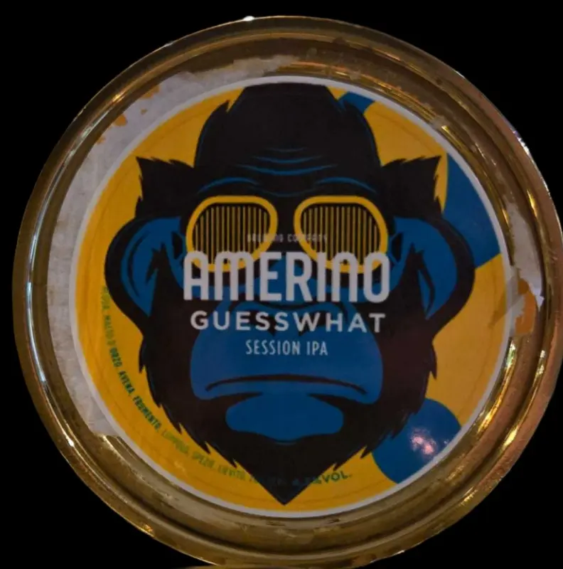 Birrificio Amerino Guess What