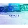 Millpond Brewing Cenote