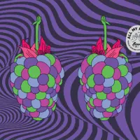All My Friends Beer Co. BB KUSH - 2026