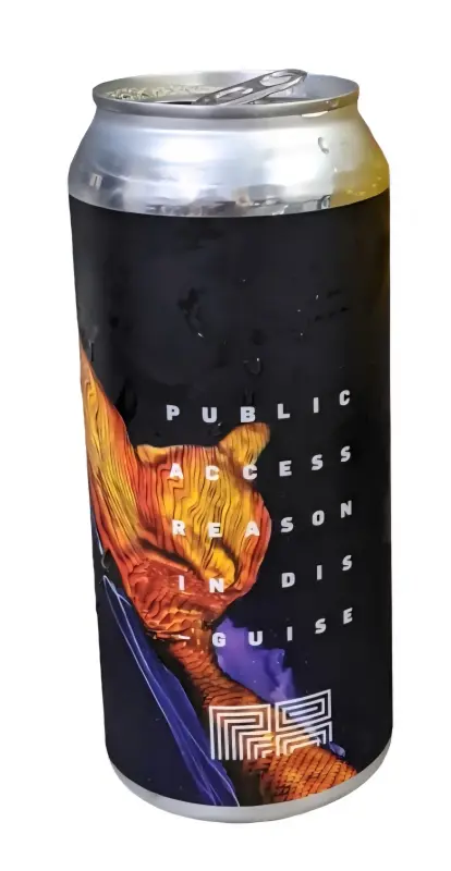 Public Access Liquids Reason In Disguise