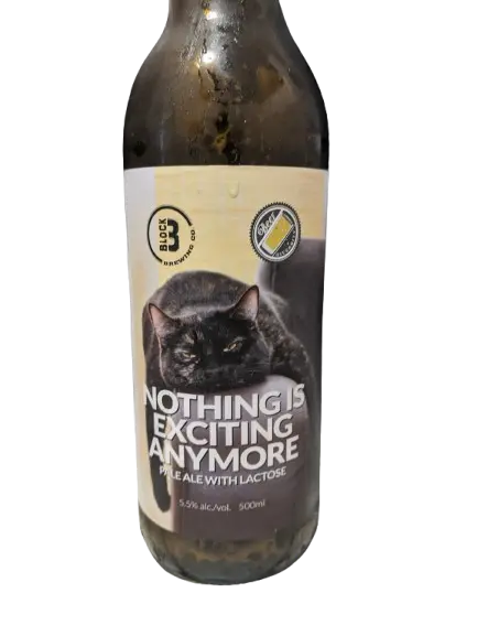 Block Three Brewing Company Nothing is Exciting Anymore