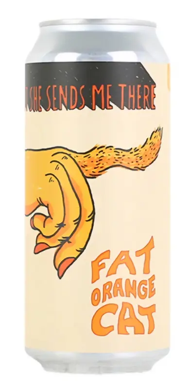 Fat Orange Cat Brew Company I Don't Know Where But She Sends Me There