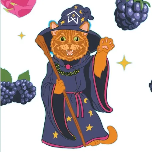 Wayward Lane Brewing Merlin In Berlin: Blackberry & Dragonfruit