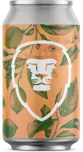 Aslan Brewing Company Ginger Rye