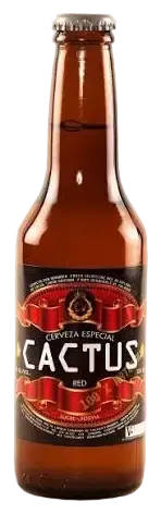 Cervecería Vicos Cactus