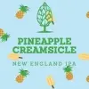 Beer Tree Brew Co. Pineapple Creamsicle