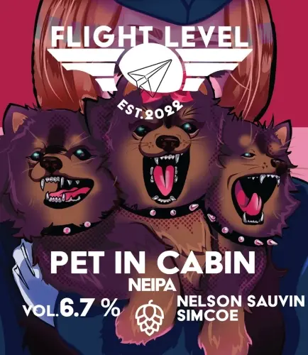 Flight Level Brewing Pet in Cabin