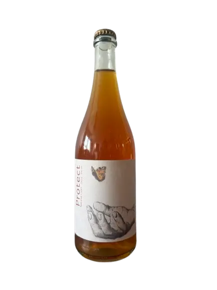Welsh Mountain Cider Protect 2024