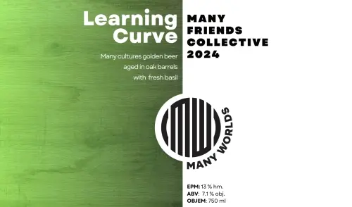 Many Worlds Learning Curve