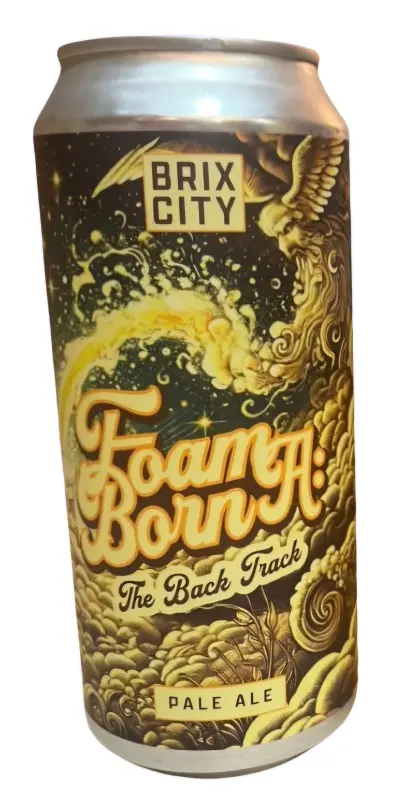 Brix City Brewing Foam Born: (A) The Back Track
