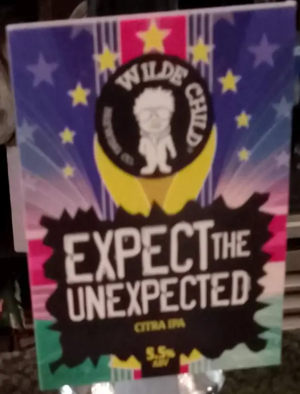Wilde Child Brewing Co Expect the Unexpected