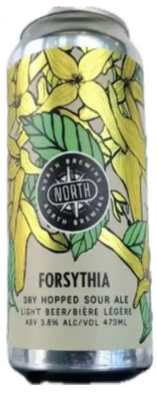 North Brewing Co. Forsythia