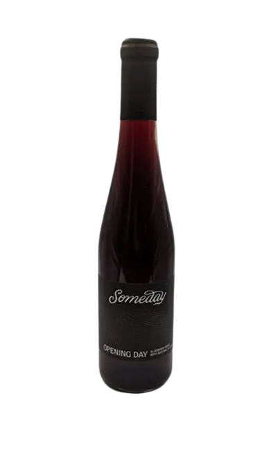 Someday Brewing Opening Day