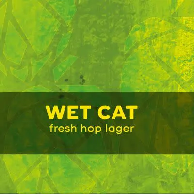 MadCat Wet Cat