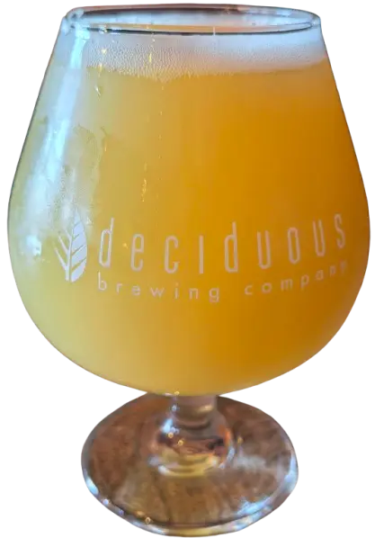 Deciduous Brewing Company Playing In The Shadows 22