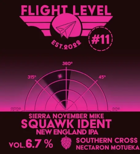 Flight Level Brewing Squawk Ident #11 Sierra November Mike