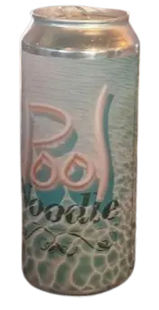 Hourglass Brewing Pool Noodle