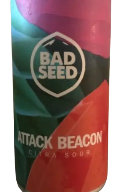 Bad Seed Brewery Attack Beacon
