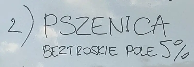 Wrowar Brewing Beztroskie Pole