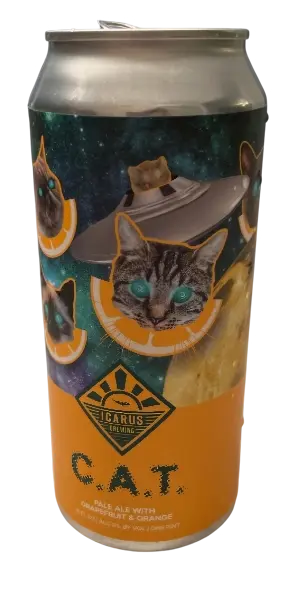 Icarus Brewing C.A.T. (Citric Acid Trip)