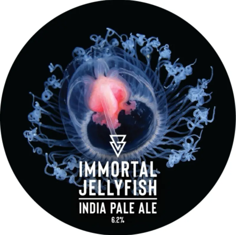 Azvex Brewing Company Immortal Jellyfish