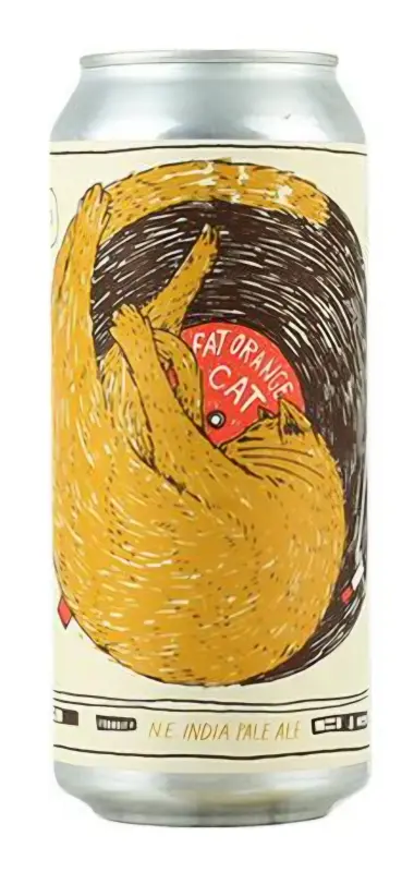 Fat Orange Cat Brew Company Launch