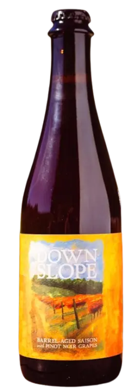 Sante Adairius Rustic Ales Down Slope