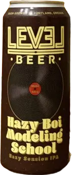 Level Beer Hazy Boi Modeling School