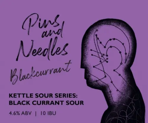 Black Kite Brewery 黑鳶 Pins & Needles Blackcurrant