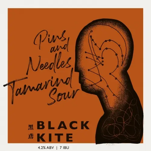 Black Kite Brewery 黑鳶 Pins & Needles Tamarind Sour