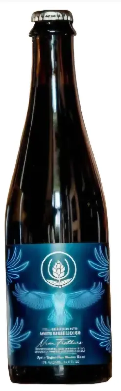 Source Farmhouse Brewery Neon Feathers