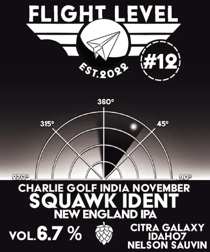 Flight Level Brewing Squawk Ident #12 Charlie Golf India November