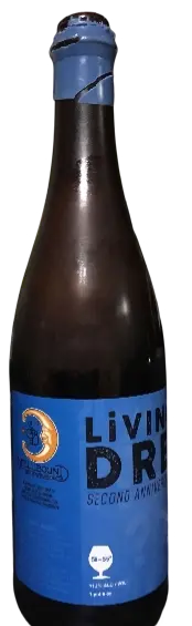 Spellbound Brewing Living The Dream?!