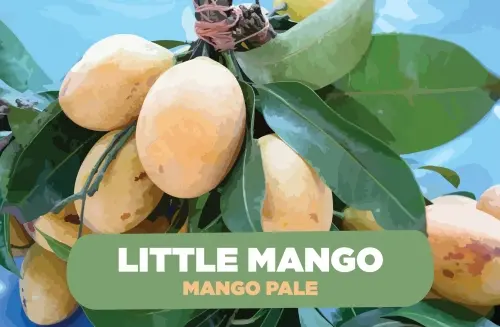 New Invention Brewery Little Mango