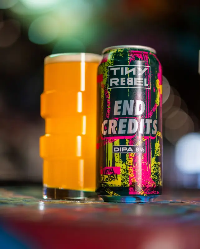 Tiny Rebel End Credits