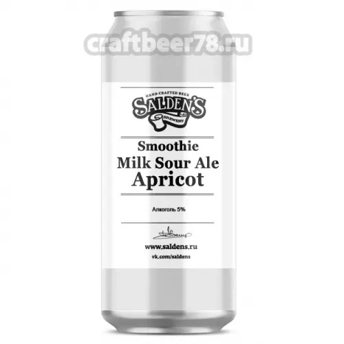 Salden's Brewery Smoothie Milk Sour Ale Apricot