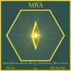 The Attic Meadery Nova