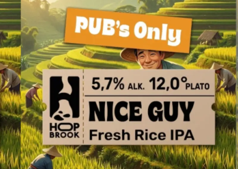 Hop Brook Nice Guy