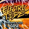 608 Brewing Company Electric Tide