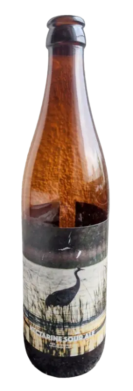 Moczybroda Nectarine Sour Ale