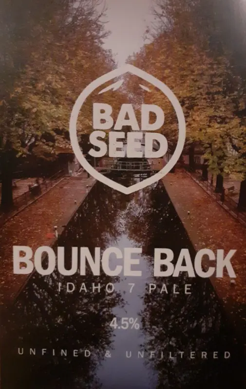 Bad Seed Brewery Bounce Back