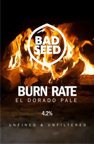 Bad Seed Brewery Burn Rate