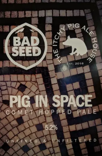 Bad Seed Brewery Pig In Space