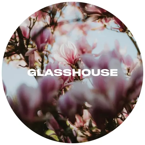 Glasshouse Beer Co Through Echoes