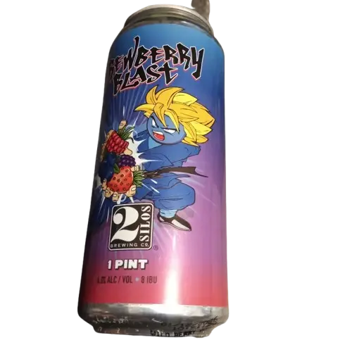 2 Silos Brewing Company Brewberry Blast