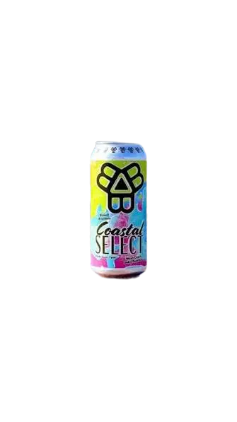 Bissell Brothers Brewing Coastal Select
