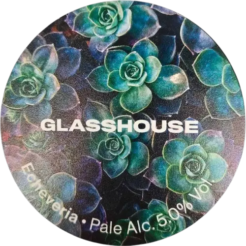 Glasshouse Beer Co Echeveria