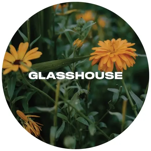 Glasshouse Beer Co Calendula