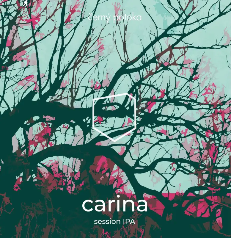 černý potoka Carina